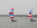IMG 4458