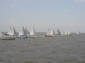 IMG 4469
