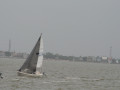 IMG 4476