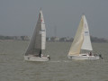 IMG 4480