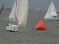 IMG 4485