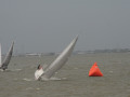 IMG 4488
