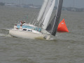 IMG 4493