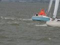 IMG 4494
