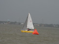 IMG 4495
