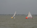 IMG 4498