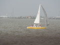 IMG 4504