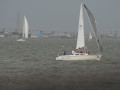 IMG 4505