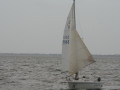 IMG 4516