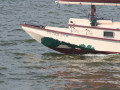 IMG 4536