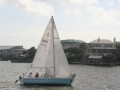 IMG 4539