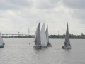 IMG 4564