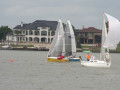 IMG 4601