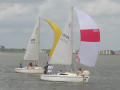 IMG 4619