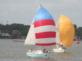 IMG 4621