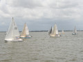 IMG 4659