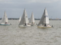 IMG 4661