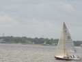 IMG 4663