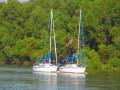 Chattahoochee Coup Too 051 1025