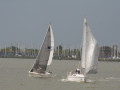 IMG 4754