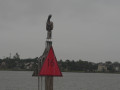 IMG 4795