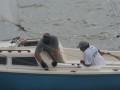 IMG 4865