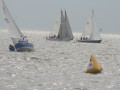 IMG 4874