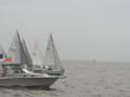 IMG 4881
