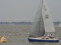 IMG 4910