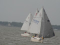 IMG 4916