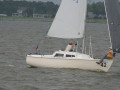 IMG 4917