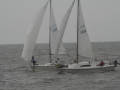 IMG 4943
