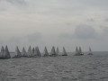 IMG 4951