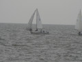 IMG 4964