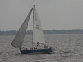 IMG 4965