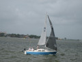 IMG 5541
