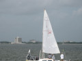 IMG 5542