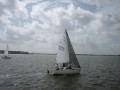 IMG 5543