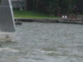 IMG 5545