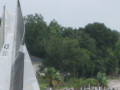 IMG 5546