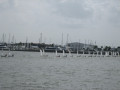 IMG 5561