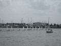 IMG 5562