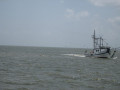 IMG 5564